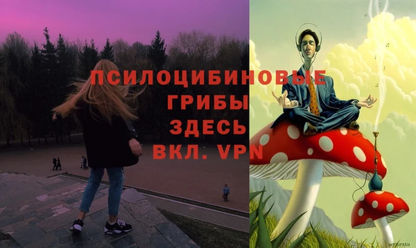 мдпв Белокуриха