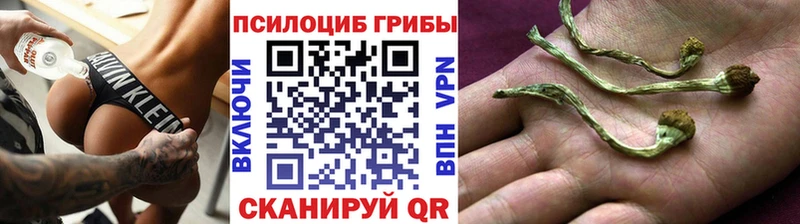 blacksprut вход  Кировград  Галлюциногенные грибы мицелий 